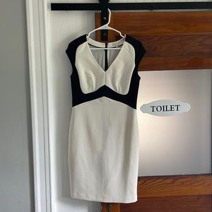 The limited scandal collection dress